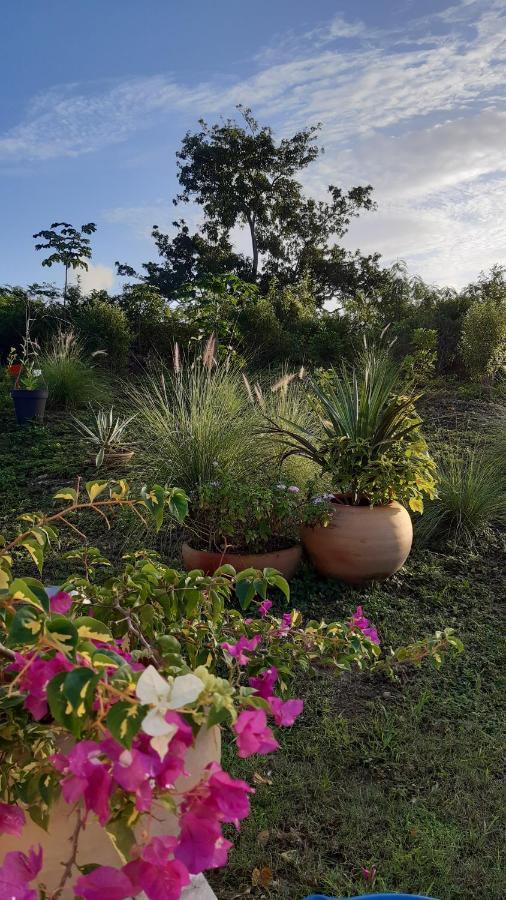 P'Tites Chambres Dans La Campagne De Marie Galante Grand-Bourg  Luaran gambar